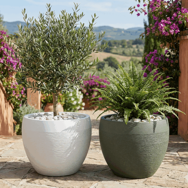 אדנית דגם שרי