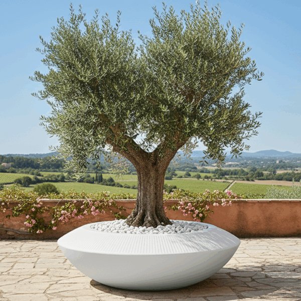 אדנית דגם פלורינה