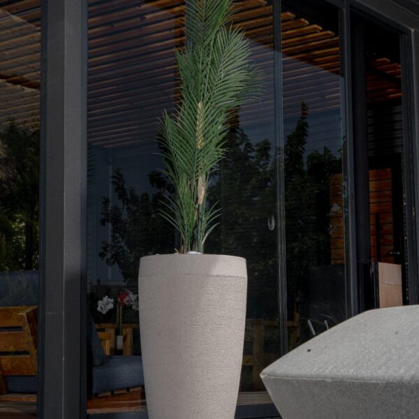 אדנית דגם פפאיה