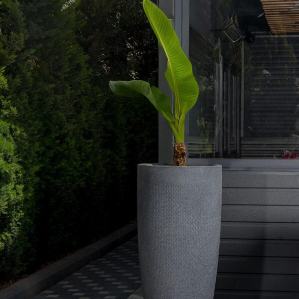 אדנית יוקרתית עגולה גבוהה דגם קיווי