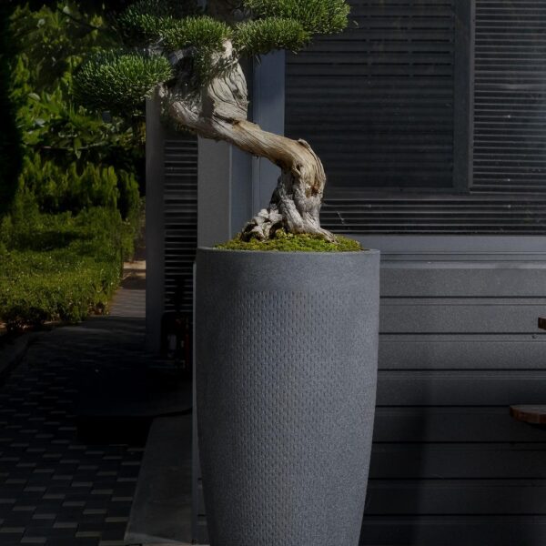 אדנית יוקרתית עגולה גבוהה דגם קיווי