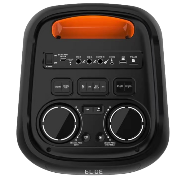 בידורית MAIN STAGE