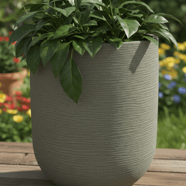 אדנית דגם אוליביה