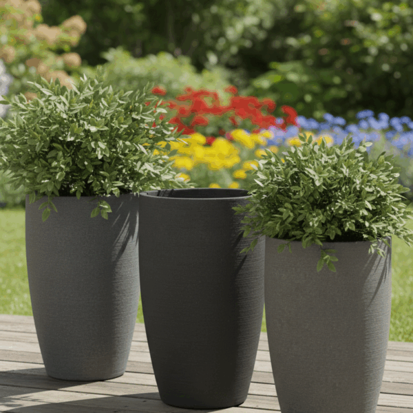 אדנית דגם אורקידה