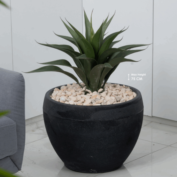 שרי פרימיום – אדנית מעוצבת כולל עץ "סיזל" וחלוקי נחל