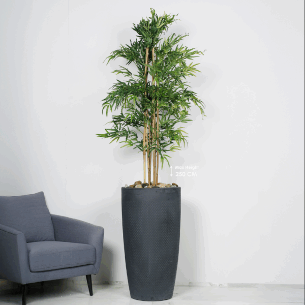 קיווי פרימיום – אדנית מעוצבת כולל עץ "במבוק" וחלוקי נחל