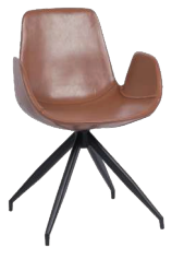 כסא דגם "ויוה"