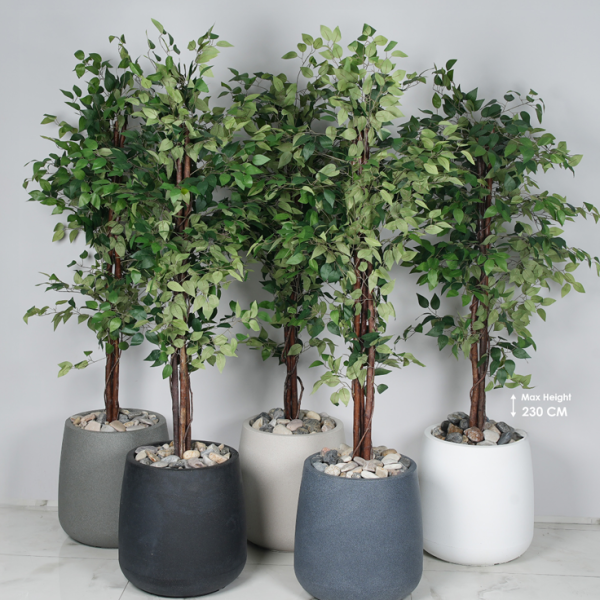 פלנטה פרימיום - כולל עץ "בניאן" וחלוקי נחל