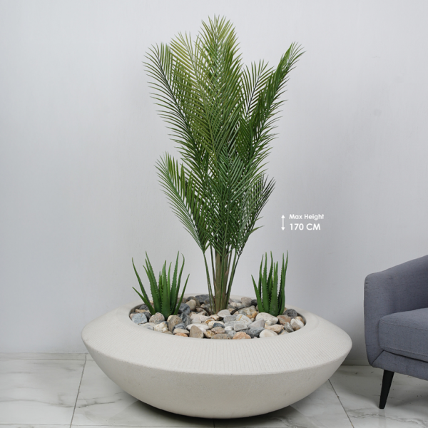 פלורינה פרימיום - כולל עץ "דקל קוואי" וחלוקי נחל