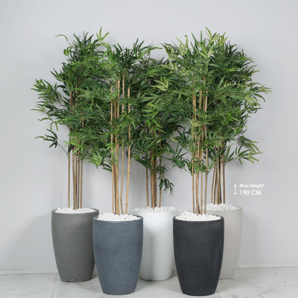 אורקידה פרימיום - כולל עץ "במבוק" וחלוקי נחל