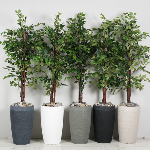 צילום מסך 2026-03-13 101709