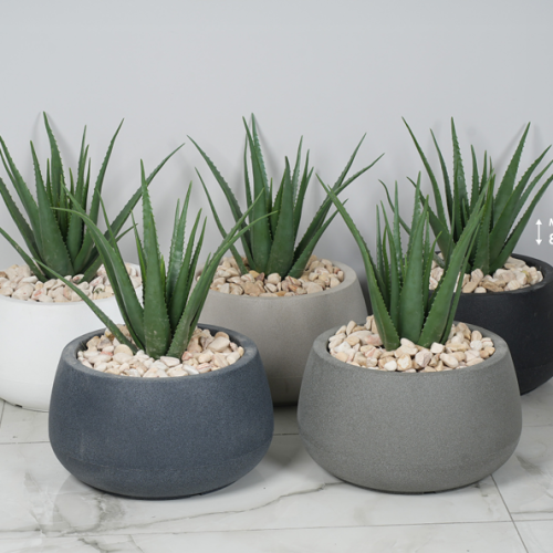 צילום מסך 2026-03-13 104149