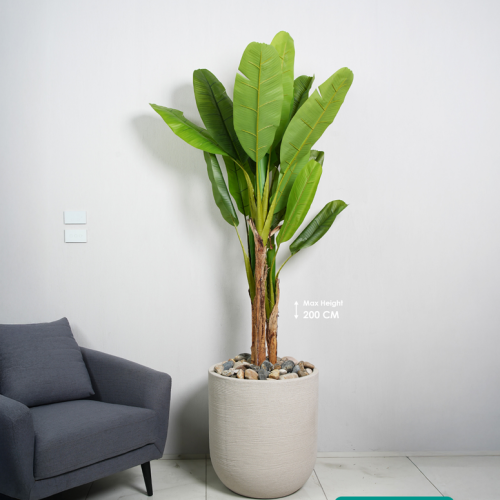 צילום מסך 2026-03-13 114152