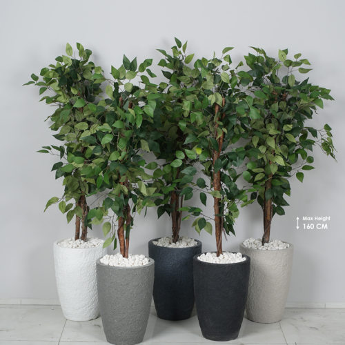 צילום מסך 2026-03-13 122620